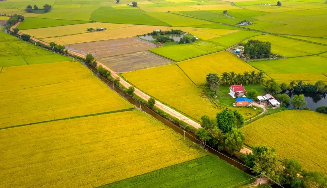 How Crop Rotation Supports Healthy Soil