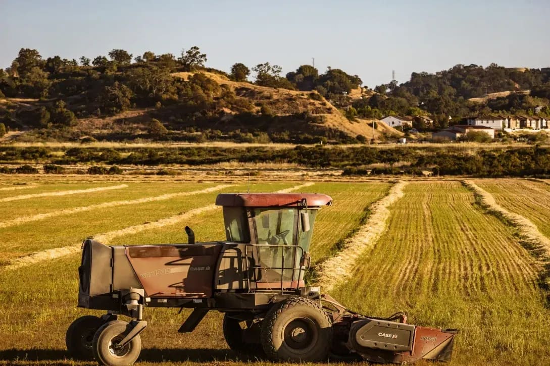 What to Watch for During Early Harvest Planning