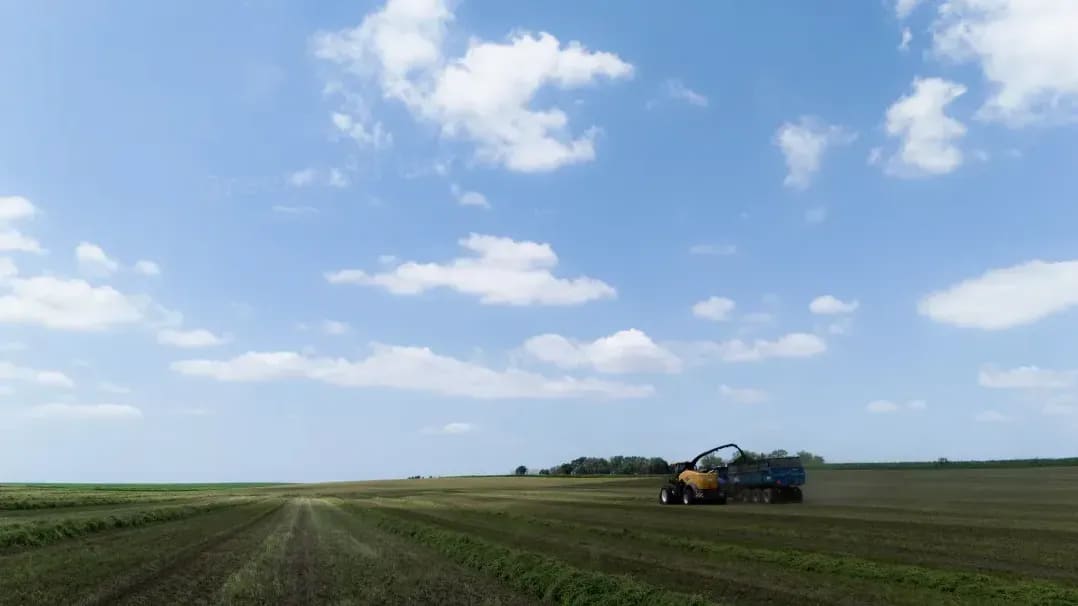 Greenfield Harvest 11