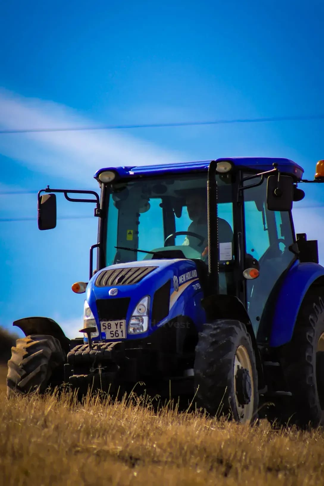 Greenfield Harvest 13