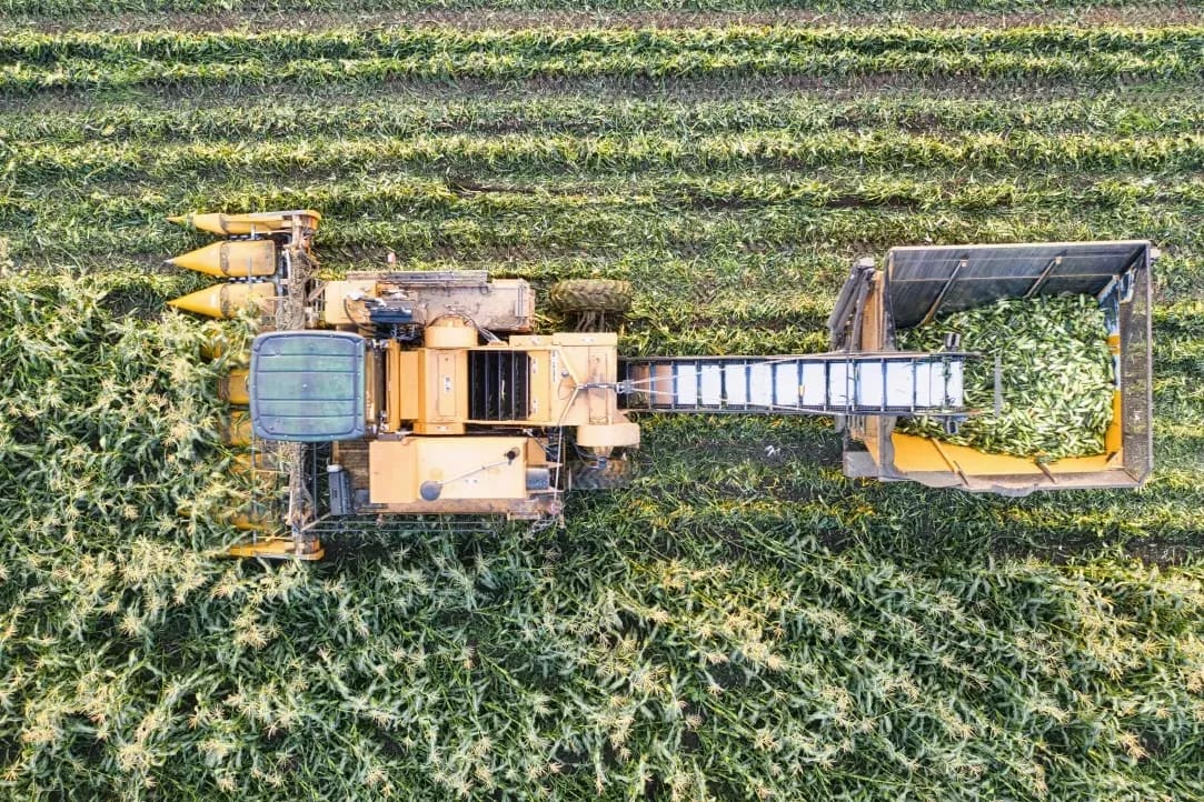Greenfield Harvest 15