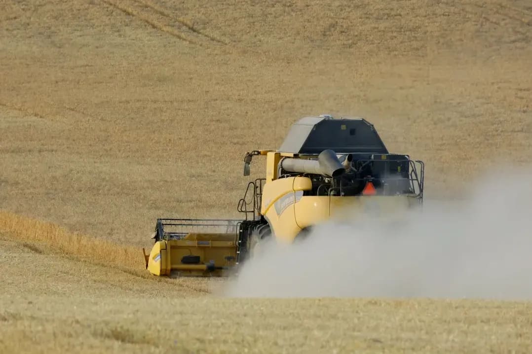 Greenfield Harvest 8