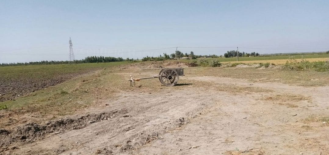 Crop planning and agronomy support